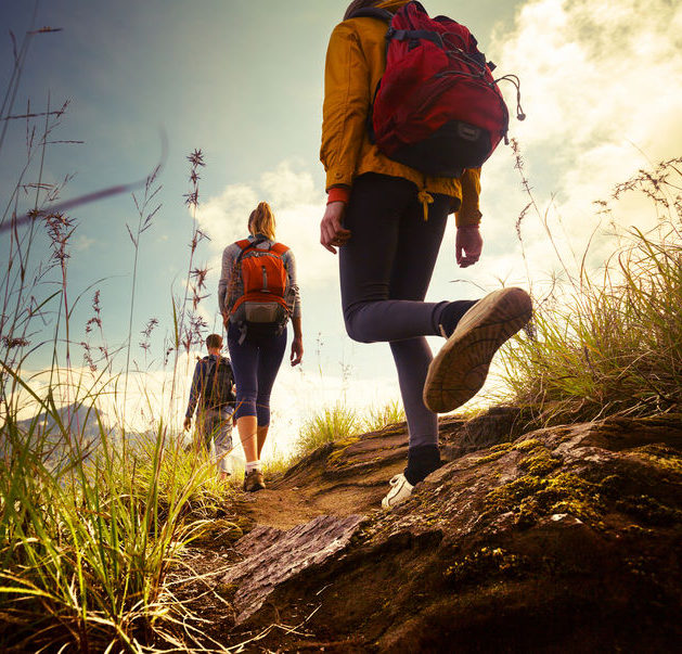 30850482 - group of hikers walking in mountains